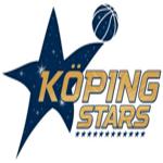 科平星logo
